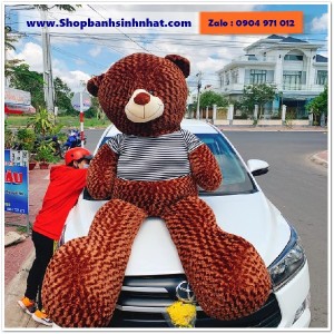 Gấu Bông Teddy Hàn Quốc - GAU45